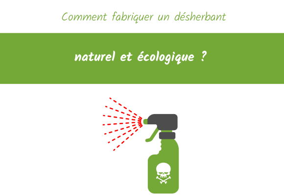 Comment fabriquer un désherbant naturel et écologique ? - Royaume des