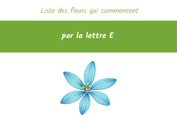 Fleurs Commençant Par La Lettre E