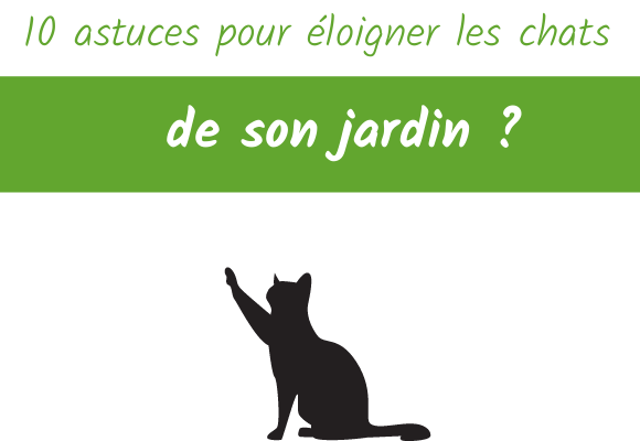 10 astuces pour éloigner les chats de son jardin