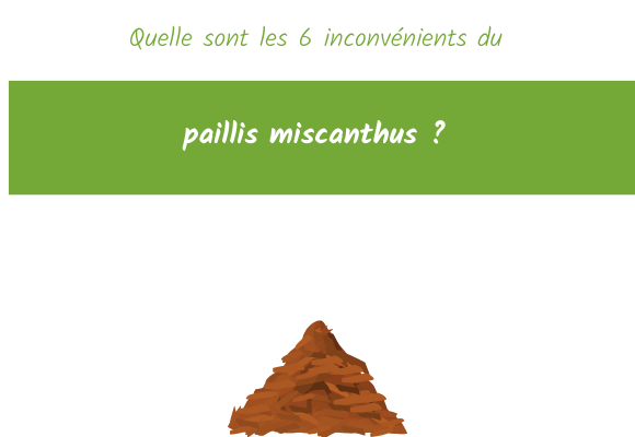 Quelle sont les 6 inconvénients du paillis miscanthus ?