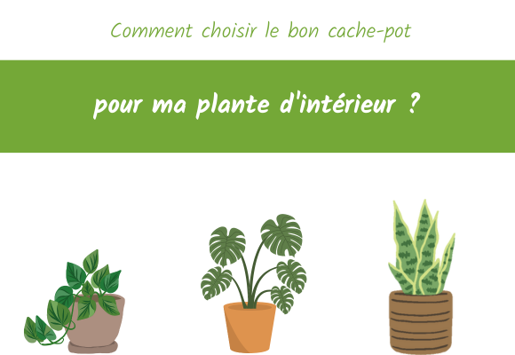 Choisir-cache-pot-plante-interieur