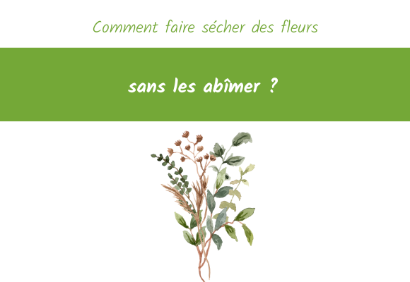 Comment faire sécher fleurs sans abîmer