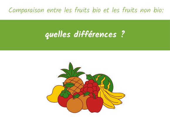 Comparaison entre les fruits bio et les fruits non bio : quelles différences ?