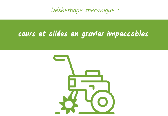 Désherbage mécanique allées jardin