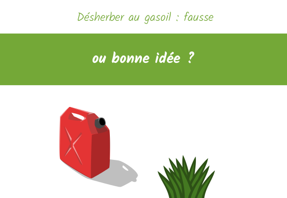 Désherber au gasoil fausse ou bonne idee