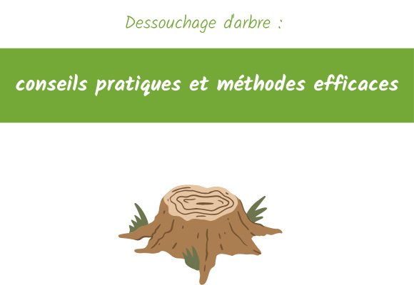 dessouchage arbre