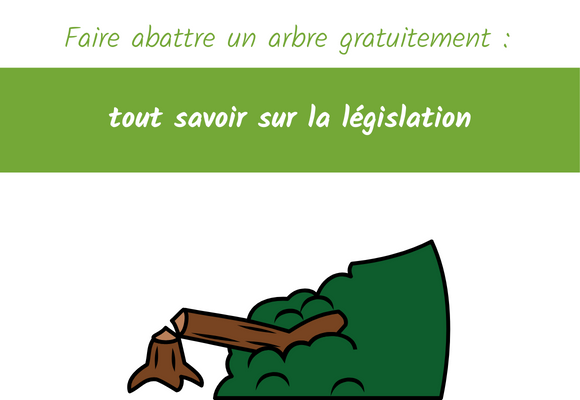 Faire abattre un arbre gratuitement tout savoir sur la législation