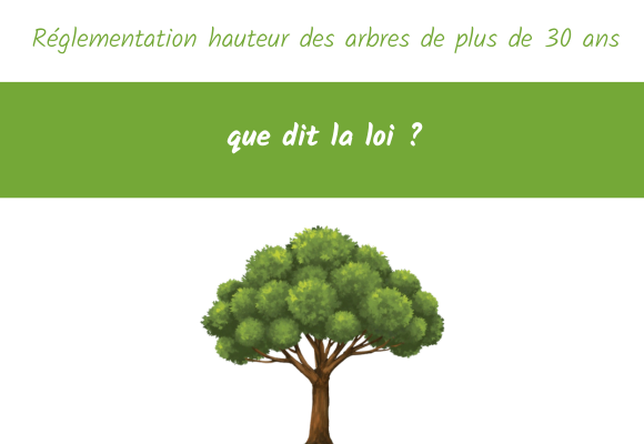 Réglementation hauteur arbres de plus 30ans