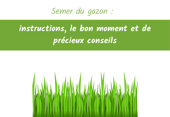 Semer du gazon instructions le bon moment et de précieux conseils