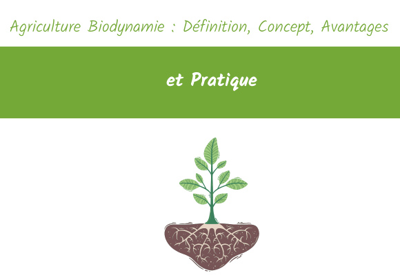 Agriculture Biodynamie : Définition, Concept, Avantages et Pratique