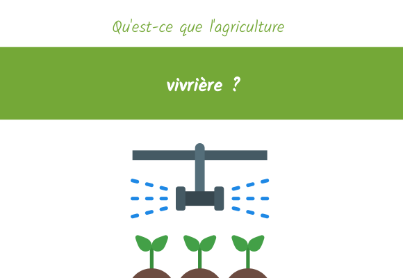 agriculture vivriere