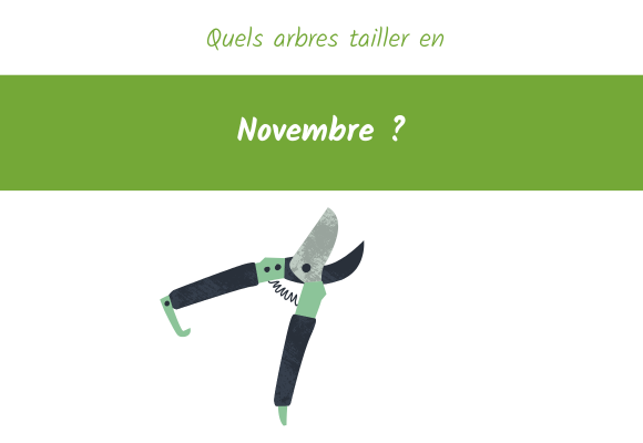 arbre élaguer novembre