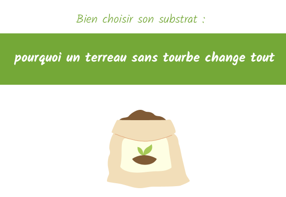 Bien choisir son substrat : pourquoi un terreau sans tourbe change tout