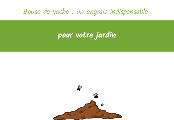Bouse de vache : un engrais indispensable pour votre jardin