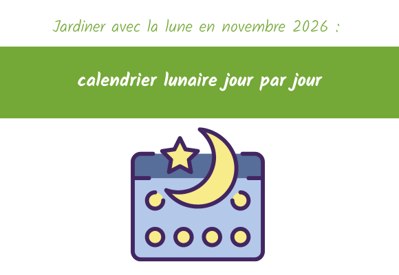 Jardiner avec la lune en novembre 2026