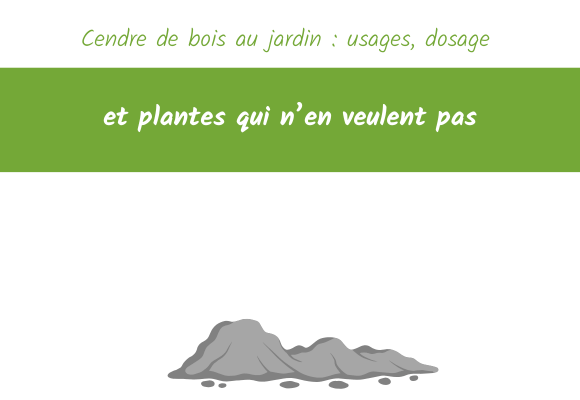 Cendre de bois au jardin usages, dosage et plantes qui n’en veulent pas