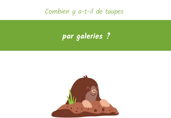 combien de taupe par galerie