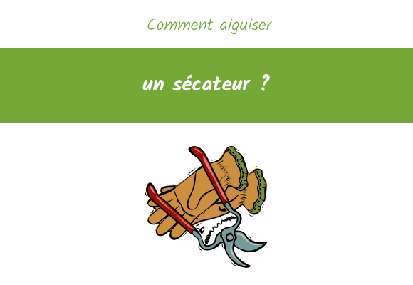 comment aiguiser un secateur