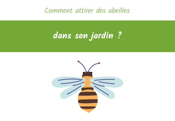 comment attirer les abeilles au jardin ?