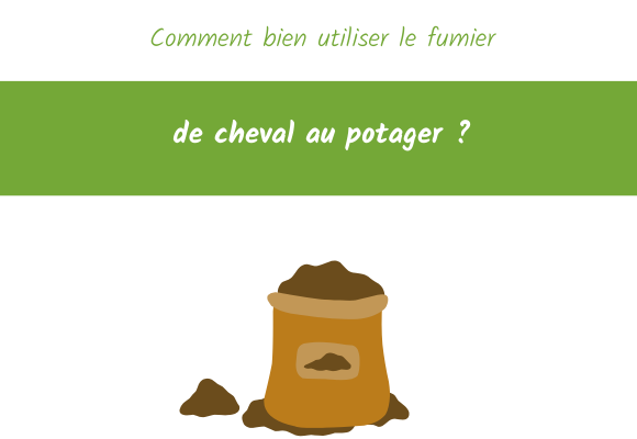 comment bien utiliser fumier de cheval potager