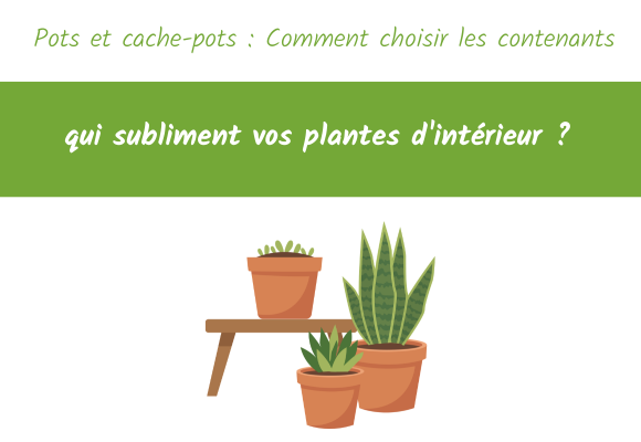 Pots et cache-pots comment choisir les contenants qui subliment vos plantes d'intérieur