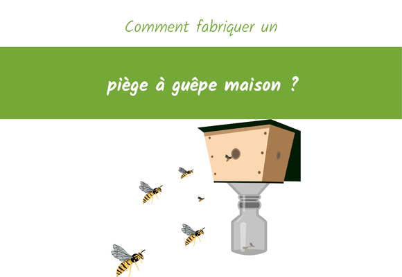 Comment fabriquer un piège à guêpe maison