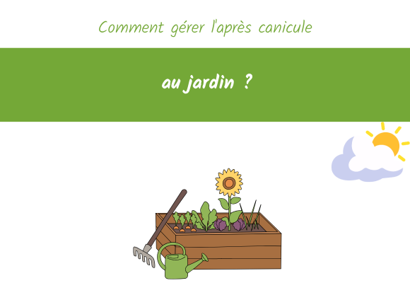 Comment gérer l'après canicule au jardin