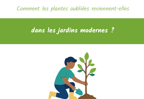 Comment les plantes oubliées reviennent-elles dans les jardins modernes
