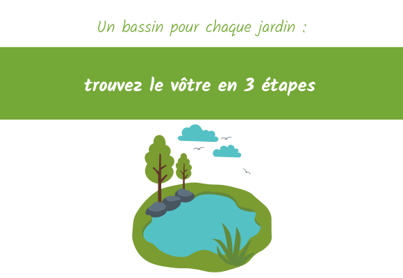 deco bassin jardin