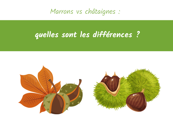 Marrons vs châtaignes