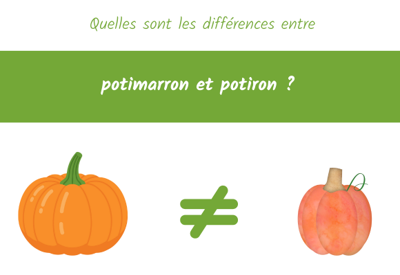 différences potimarron potiron
