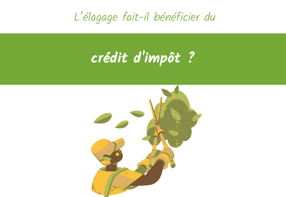 élagage crédit impôt