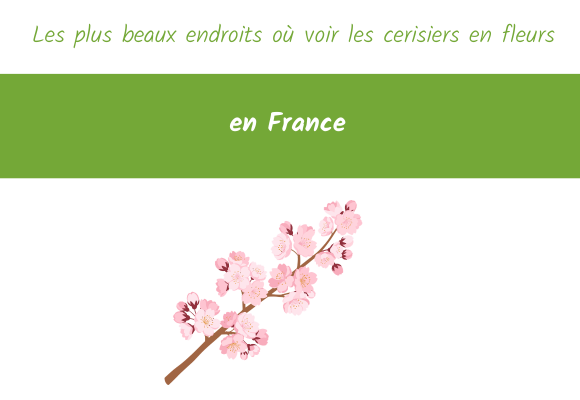 Les plus beaux endroits où voir les cerisiers en fleurs en France