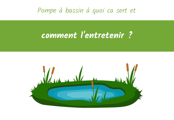 entretien-pompe-bassin