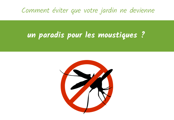 Comment éviter que votre jardin ne devienne un paradis pour les moustiques