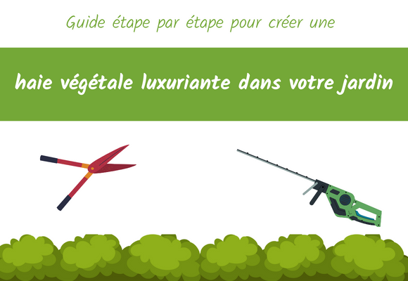 guide haie vegetale jardin