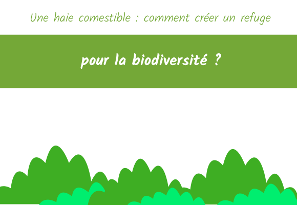 haie-comestible-biodiversite