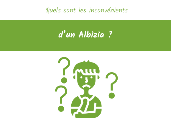 Quels sont les inconvénients d’un Albizia ?