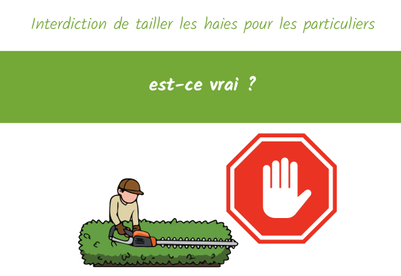 Interdiction de tailler les haies pour les particuliers