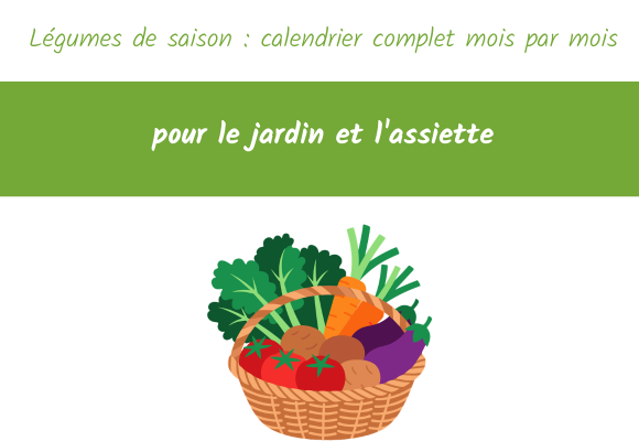 legume saison calendrier complet