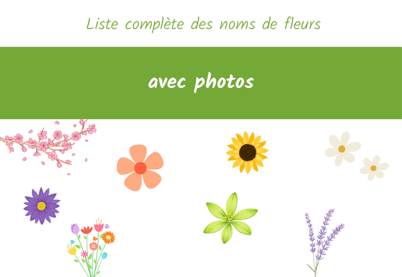 liste fleurs photo