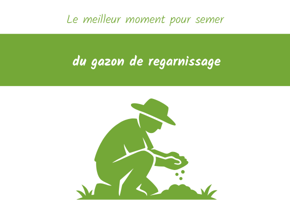 Le meilleur moment pour semer du gazon de regarnissage