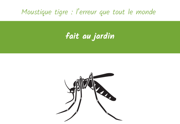 Moustique tigre l’erreur que tout le monde fait au jardin