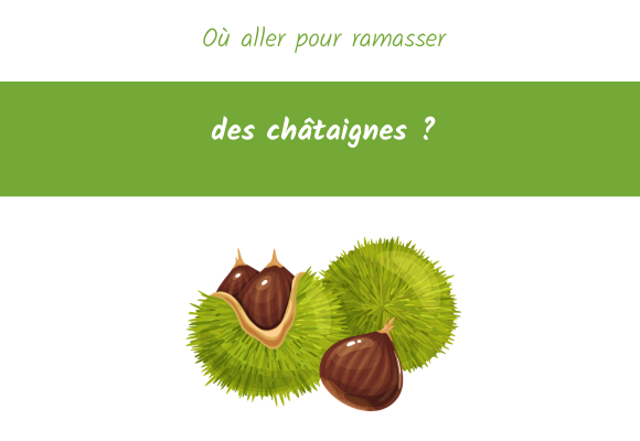 Où aller pour ramasser des châtaignes