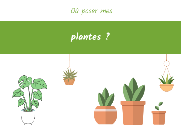 ou poser mes plantes