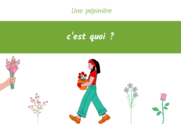 une pépinière c'est quoi 