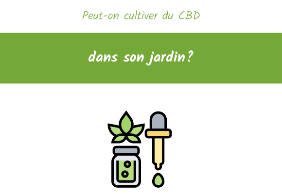 peut on cultiver du cbd dans son jardin ?