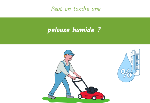 peut-on-tondre-pelouse-humide
