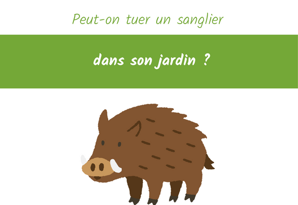 peut-on-tuer-un-sanglier-dans-son-jardin