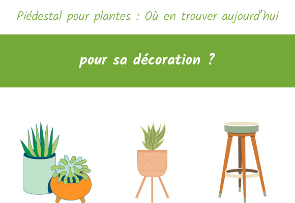piédestal décoration plante ou en trouver ?